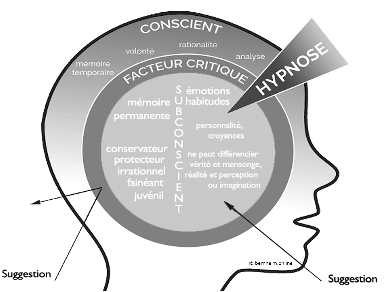 Conscient Inconscient et Facteur Critique